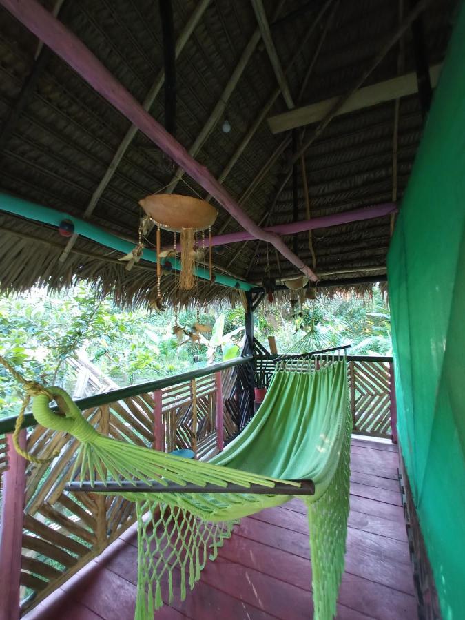 Hostal Buho Amazonas Tours Leticia Exterior photo